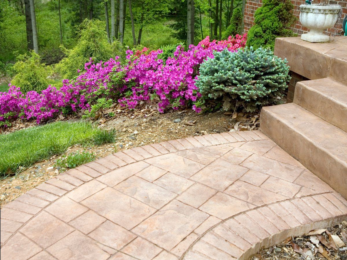 Stamped concrete walkway with stone steps and pink azaleas in Gwinnett County, GA